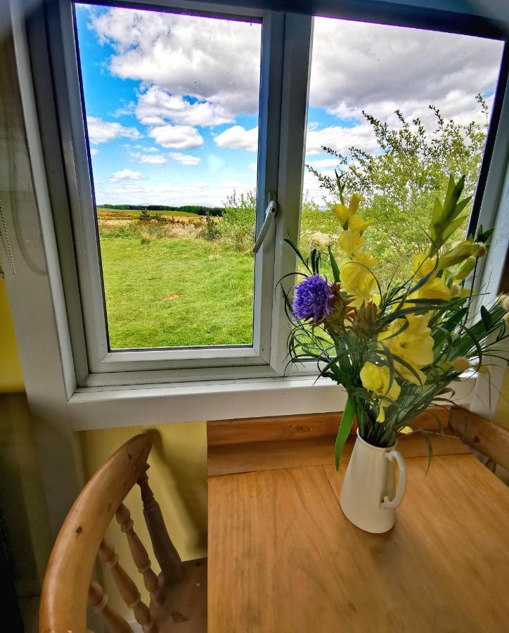 Bluebell Off-Grid Van Newton Stewart Eksteriør billede